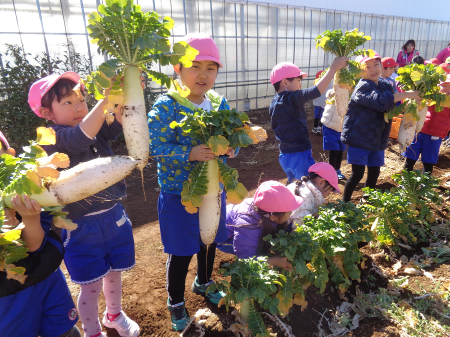 写真日誌 '25/02-03