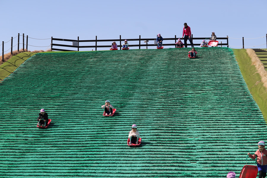 写真日誌 '25/02-03