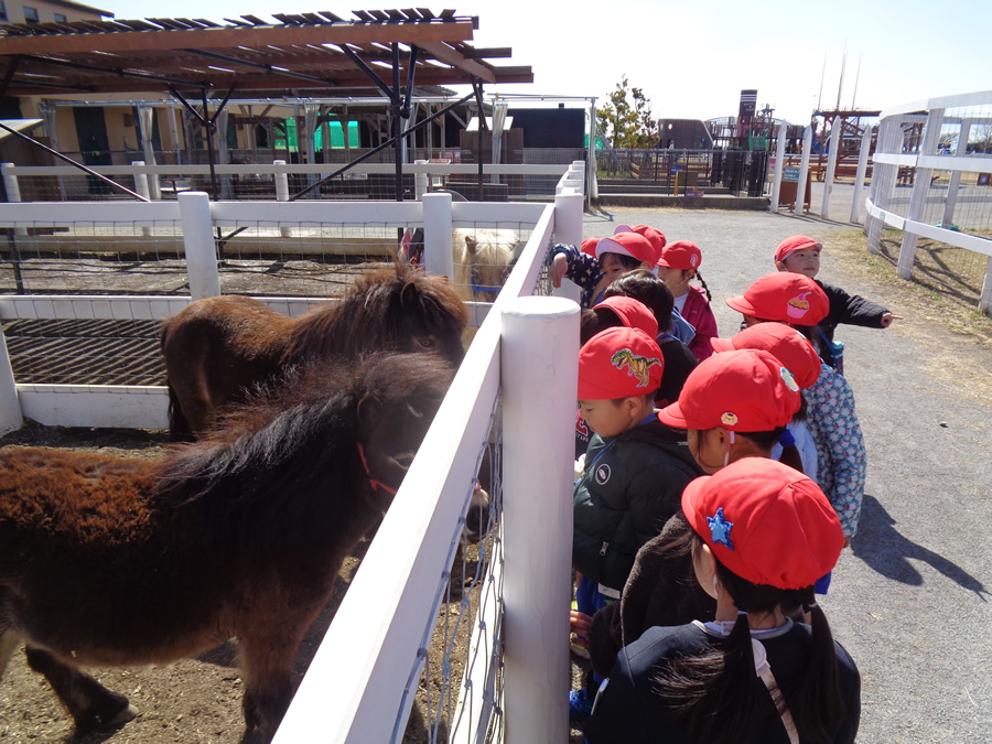 写真日誌 '25/02-03