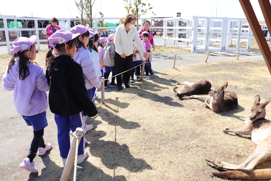 写真日誌 '25/02-03