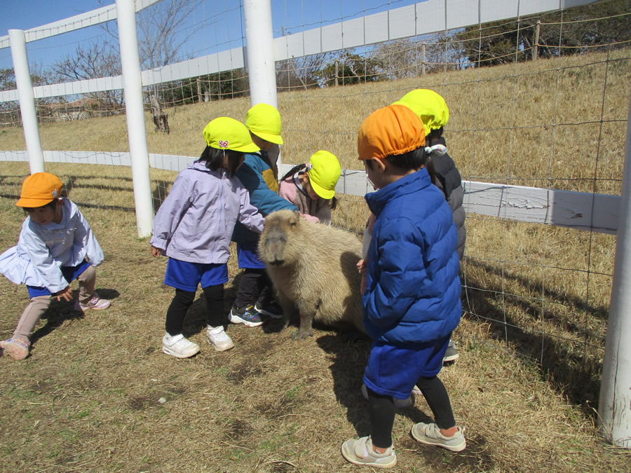 写真日誌 '25/02-03