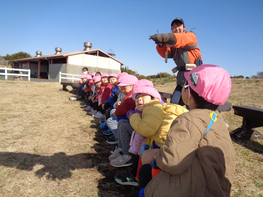 写真日誌 '25/02-03