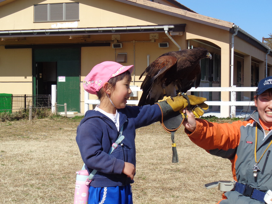 写真日誌 '25/02-03