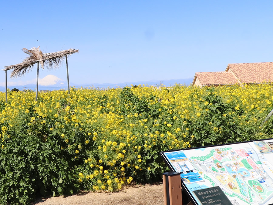 写真日誌 '25/02-03