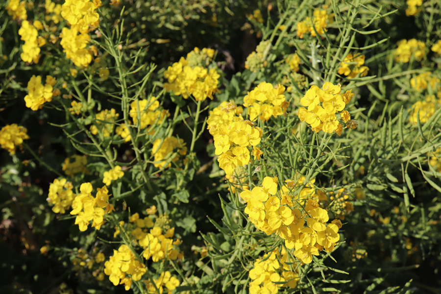 写真日誌 '25/02-03